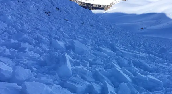 Scialpinismo, sciare in neve fresca